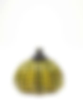 Pumpkin (preview)