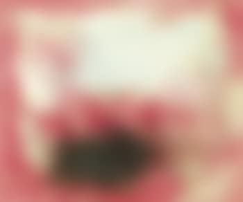 Landscape of Sun: Black Point (preview)