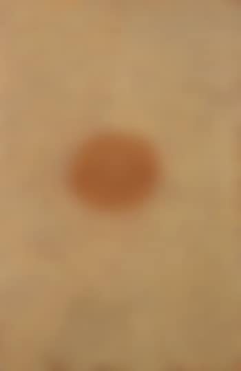 Untitled (Dingo Dreaming) (preview)