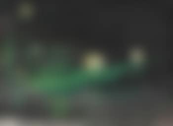 Lotus Pond (preview)