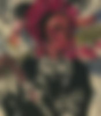 Village Lady (preview)