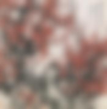 Plum Blossoms (preview)