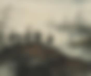 Reed and Cormorants (preview)