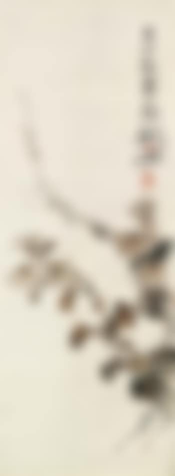 Chrysanthemums (preview)