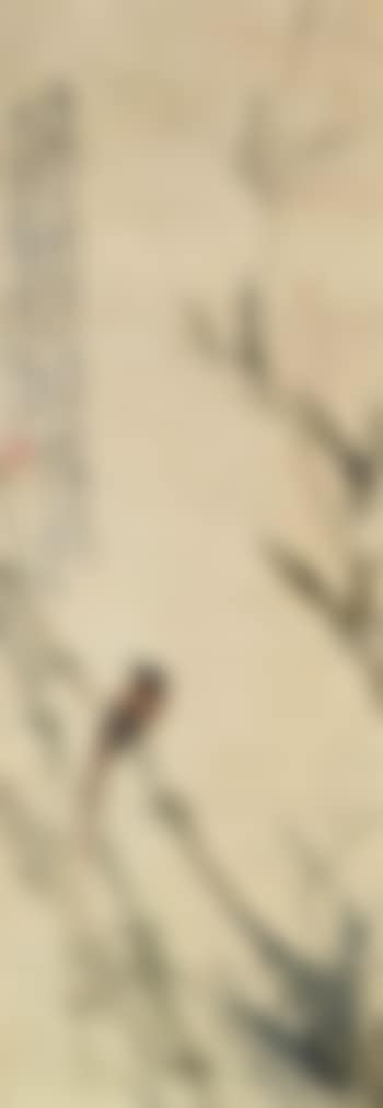 Bamboo and Bird (preview)