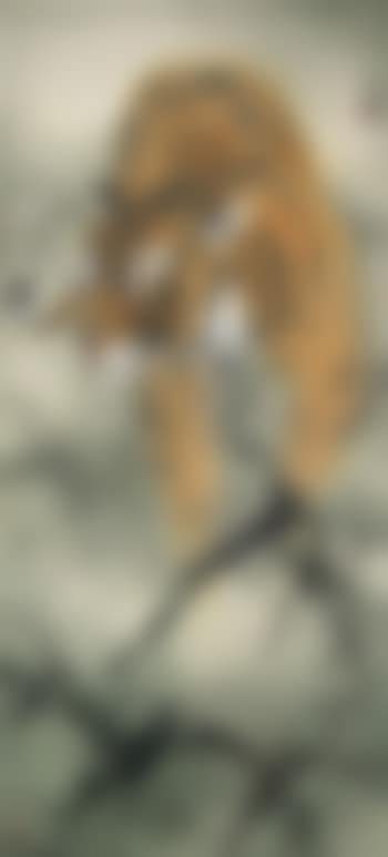 Tiger (preview)