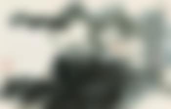 White Lotus (preview)