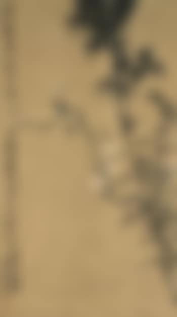Bird on a Tree Branch (preview)