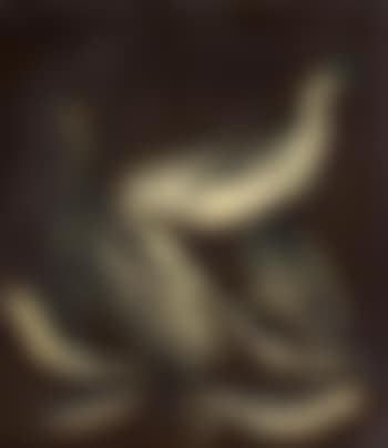 Still Life With Fish (preview)