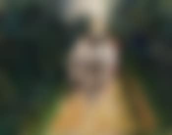 Horse Carriage On The Allee (preview)