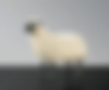 Mouton De Laine (preview)