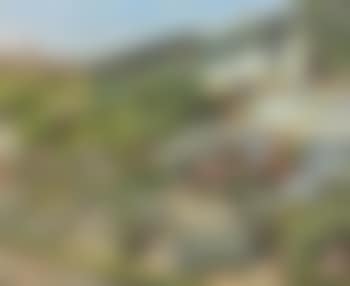 Garden (preview)
