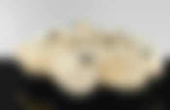 Troupeau Moutons (preview)