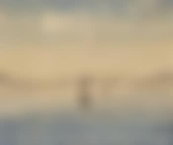 Fjordbilde (preview)
