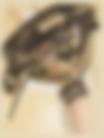 Composition (preview)