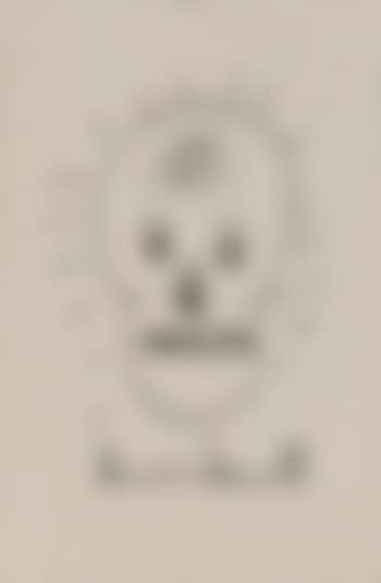 Skull (preview)
