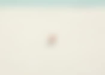 Wintertime North Of Winnipeg (preview)