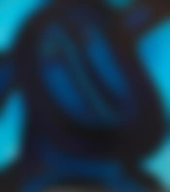 Le poète bleu (preview)
