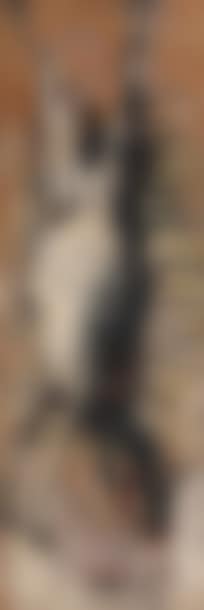 Le chevreau mort (preview)