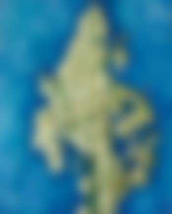 White Yucca (preview)