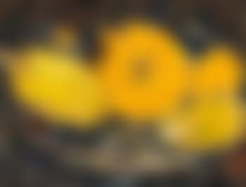 Pumpkins In a Bowl (preview)