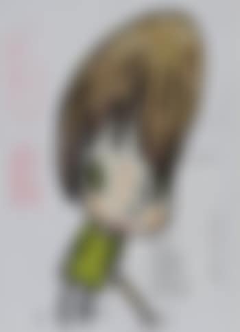 Untitled (preview)