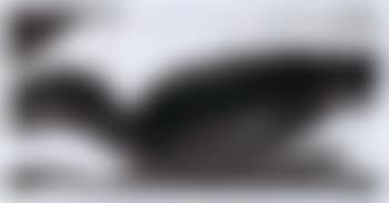 Study for Columbia (preview)