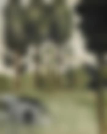 Les Grands Arbres (preview)