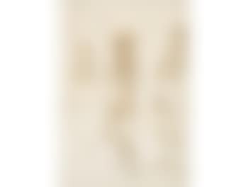 Studies of a woman (preview)