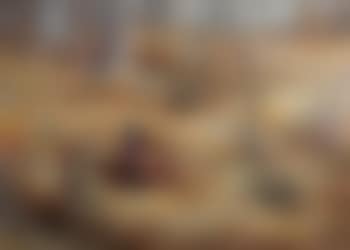 Pheasants in an autumnal wooded landscape (preview)