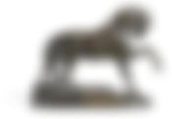 Napoleon's Egyptian Stallion (preview)
