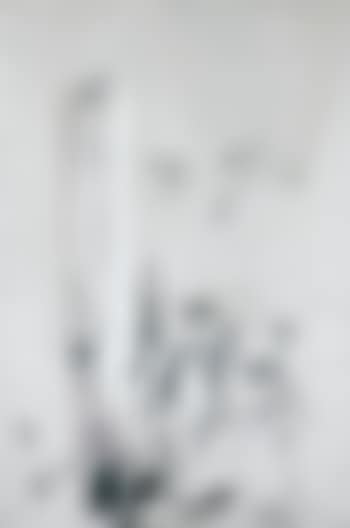Sabi (II) (preview)
