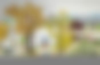 Thanksgiving (preview)