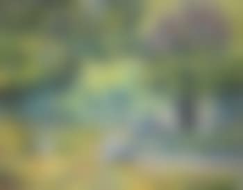 Conversation beneath the trees (preview)