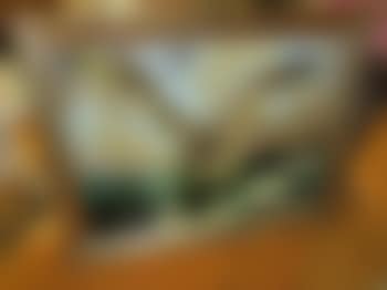 The Warning (preview)