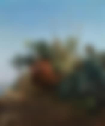 Chameliers à l’oasis / Camel herders at the oasis (preview)