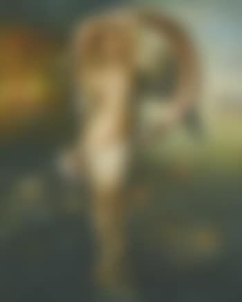 An Allegory Of Fortuna (preview)