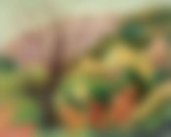 Paysage (preview)