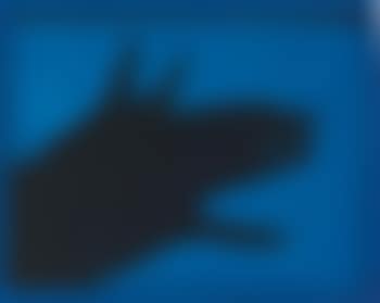 Dog (Shadowgram) (preview)