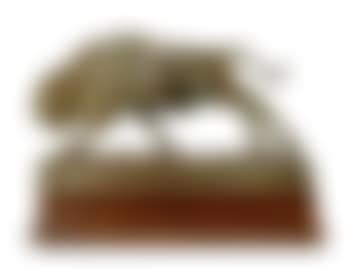Bisonoxe (preview)