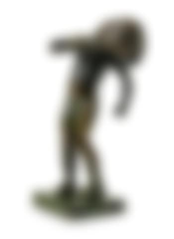 Venus Kalipygos (preview)