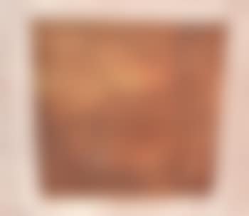 Still life with brown and green (preview)