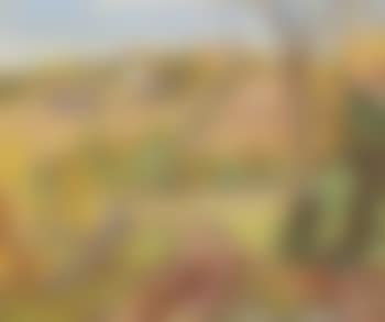 Combermere Pastoral (preview)