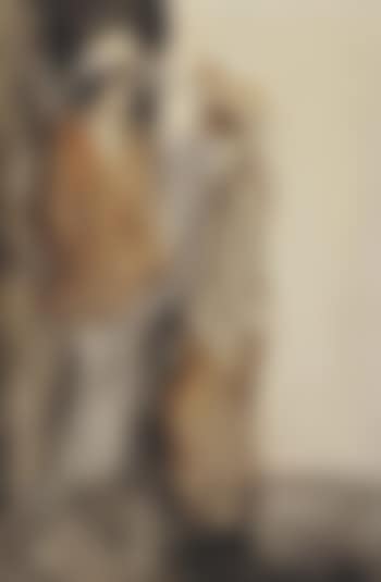 Two Elegant Ladies Conversing (preview)