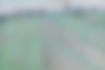 Triestige Dag (preview)