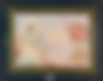 Étude de coquillages (preview)