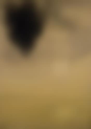 Concetto spaziale (preview)