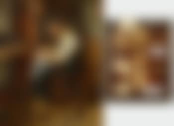 De schoenlapper (preview)