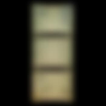 Clematis skylight (preview)