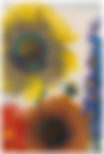 Sonnenblumen und Rittersporn (preview)